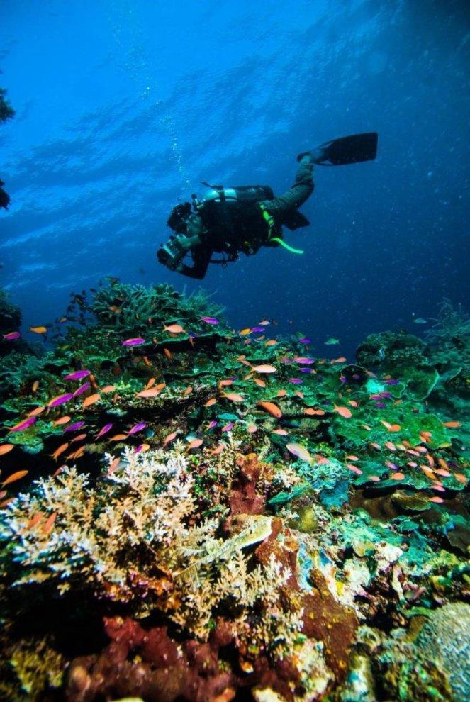 方威称海航遗留问题有望3月底前解决,建议飞行员及机务涨薪5%